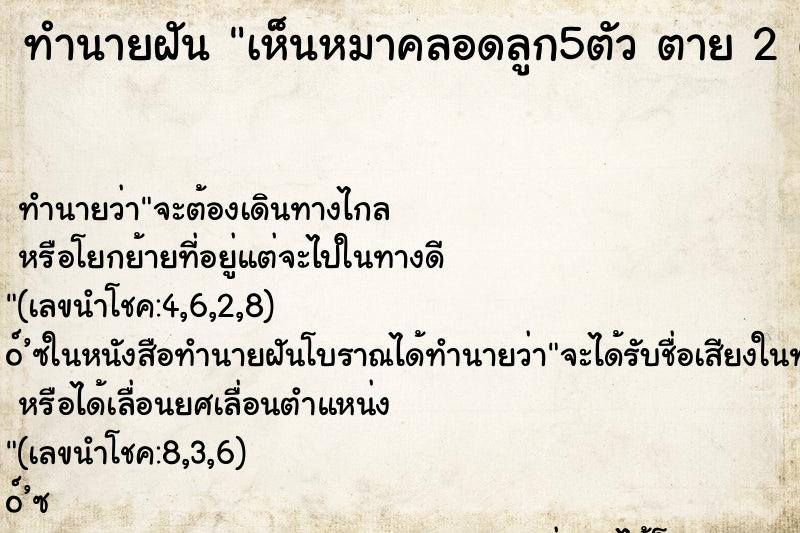 ทำนายฝัน เห็นหมาคลอดลูก5ตัว ตาย 2 ตัว รอด 3 ตัว